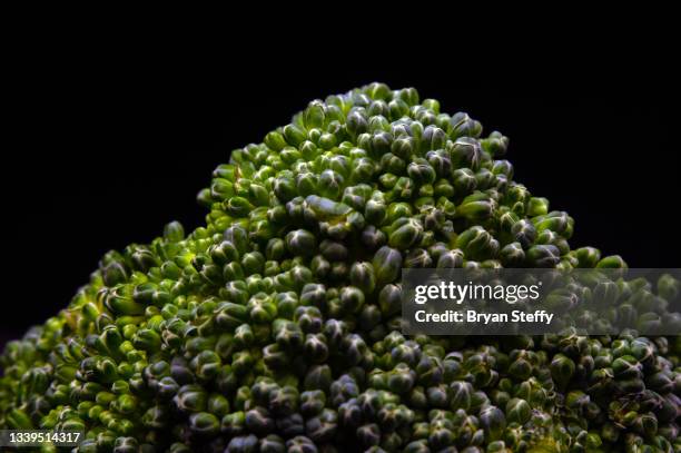 Broccoli Spear High-Res Stock Photo