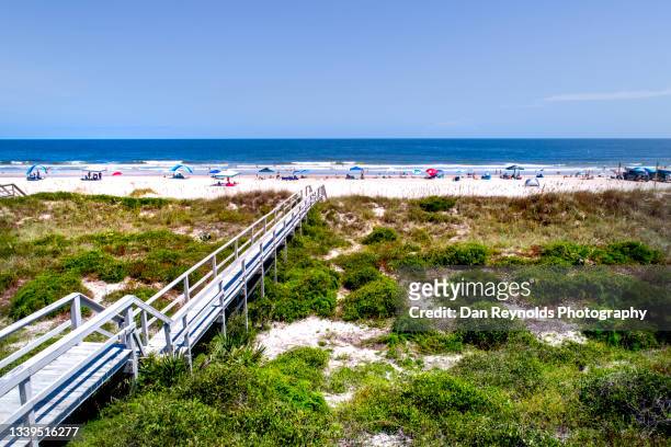 beach against blue sky - amelia island florida stockfoto's en -beelden