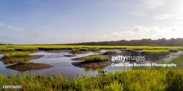 landscape marsh at lo tide - amelia island stock pictures, royalty-free photos & images