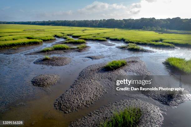 landscape marsh at lo tide - sea islands stock pictures, royalty-free photos & images