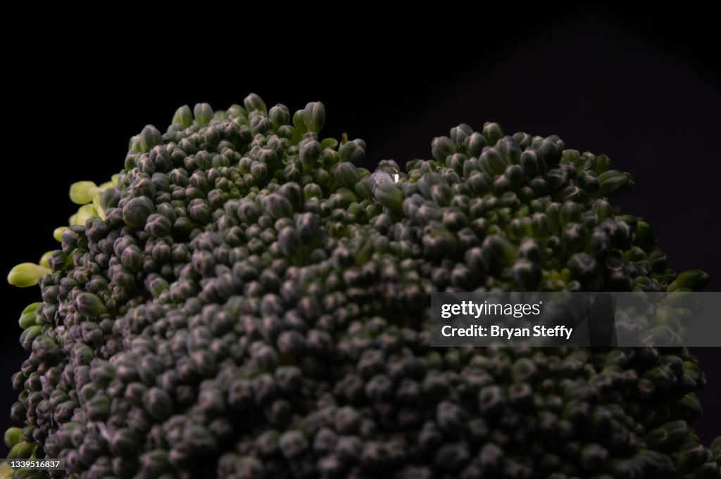 Broccoli Spear
