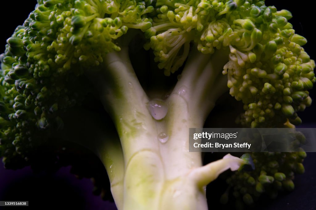 Broccoli Spear