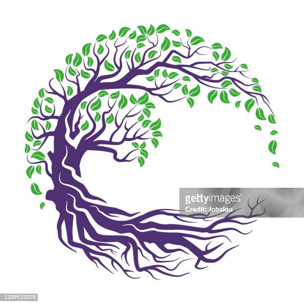 ilustrações, clipart, desenhos animados e ícones de ícone da marca da árvore gráfica circular - tronco de árvore