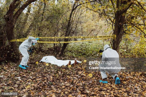 gruppe von menschen, tatortermittlung, polizei und forensik machen ihre arbeit, es gibt eine leiche im wald. - mafia stock-fotos und bilder