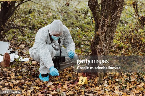 Group of people, crime scene investigation, police and forensics doing their jobs, there is a dead body in the forest. Group of people, crime scene investigation, police and forensics doing their jobs, there is a dead body in the forest.