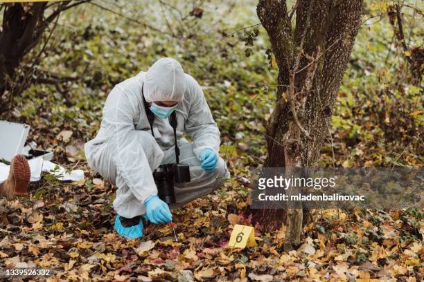 group of people, crime scene investigation, police and forensics doing their jobs, there is a dead body in the forest. - cop 21 imagens e fotografias de stock