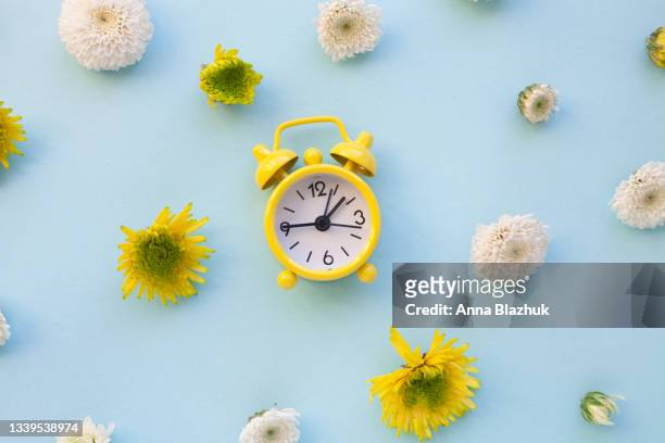 chrysantemum white and yellow autumn flowers over blue background. retro yellow alarm clock. - clocks go forward foto e immagini stock
