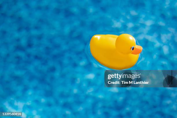 yellow rubber duck - rubber duck ストックフォトと画像