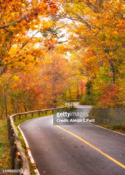 curvy road covered with fall colors - berkshires massachusetts stock pictures, royalty-free photos & images