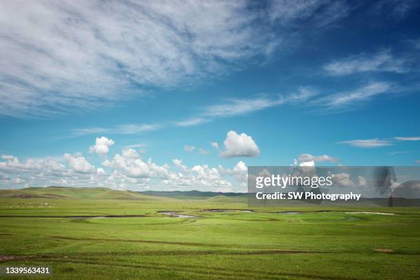 grassland view of the hulun buir grasslands, china - wide stock-fotos und bilder