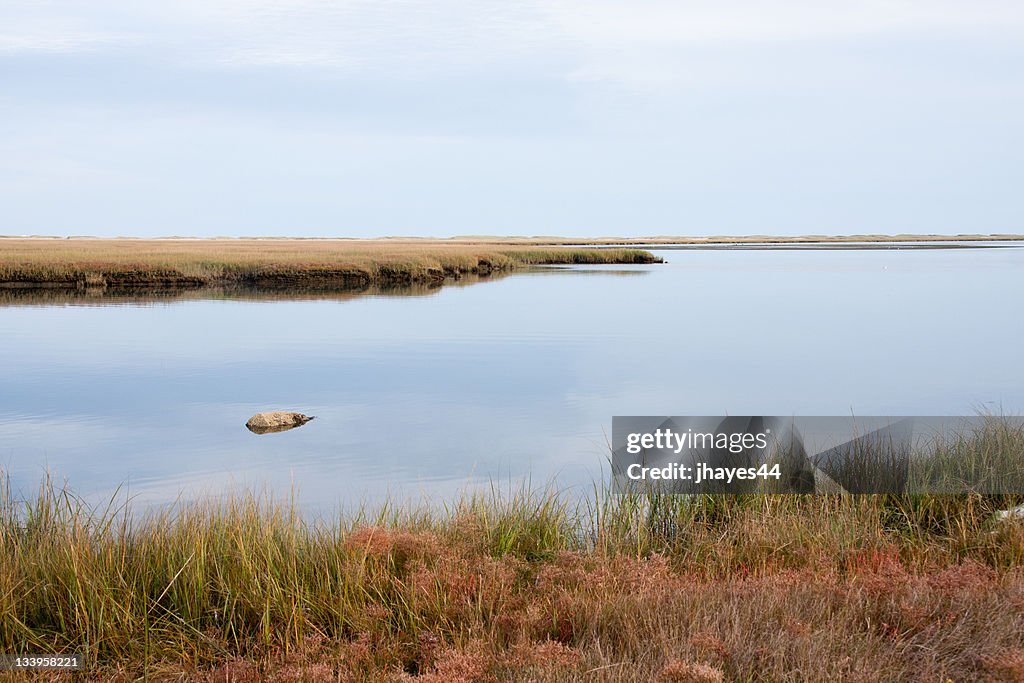 Nauset marsh