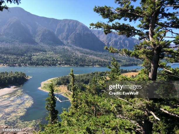 view of the columbia river from the peak of beacon rock in skamania, washington. - state park fotografías e imágenes de stock