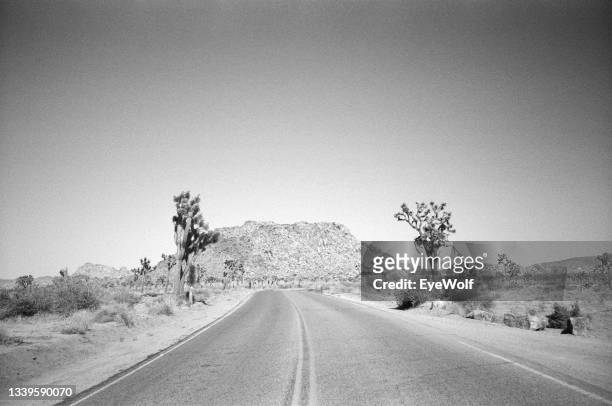 symmetrical black and white shot a road in joshua tree national park. - landscape black and white stock pictures, royalty-free photos & images