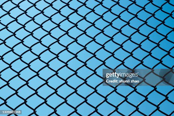 wire fence against blue sky - ワイヤーメッシュ ストックフォトと画像