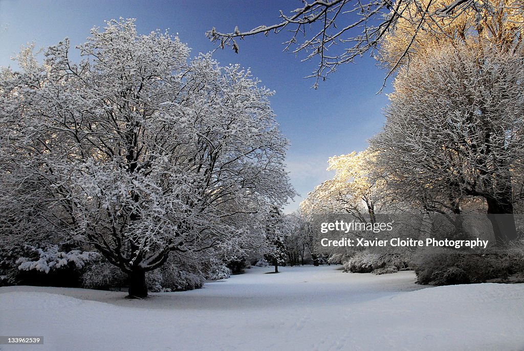 Parc de la citadelle in winter