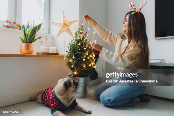 giovane donna e un cane che si godono il periodo natalizio a casa decorando l'albero sostenibile con le luci - decorare l'albero di natale foto e immagini stock