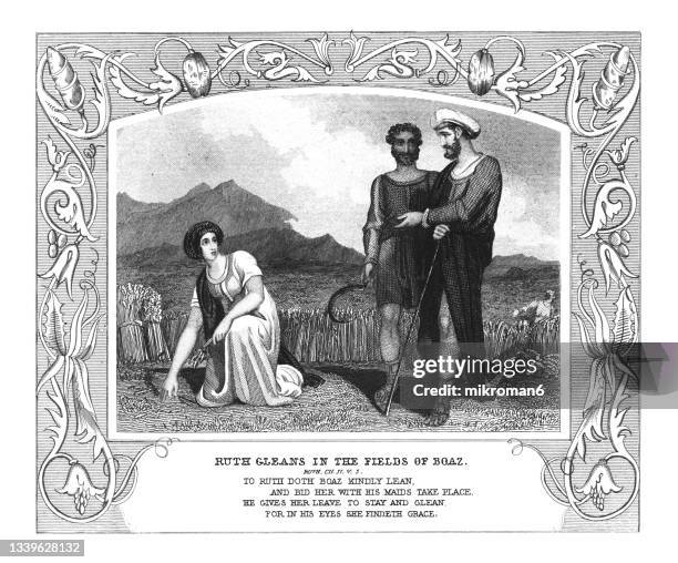 old engraved illustration of ruth gleans in the fields of boaz - gleans stock pictures, royalty-free photos & images