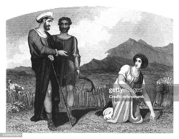 old engraved illustration of ruth gleans in the fields of boaz - gleans stock pictures, royalty-free photos & images