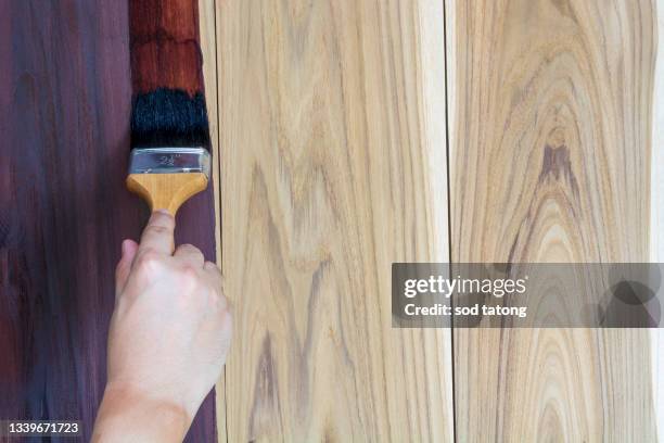 focused mid adult carpenter varnish a wooden board with protective - sales execution stock pictures, royalty-free photos & images