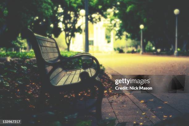 bench in hyde park, sydney, australia - hyde park sydney foto e immagini stock