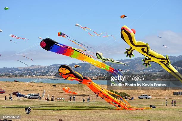 giant kites over berkeley - berkeley california stock pictures, royalty-free photos & images