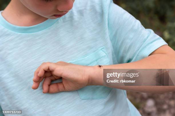 an encephalitis forest tick is crawling along the hand of a frightened child - succhiare il sangue foto e immagini stock