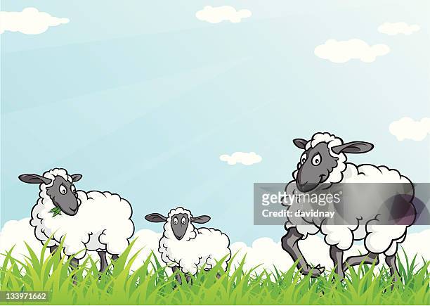 stockillustraties, clipart, cartoons en iconen met sheep graze - lammetjes