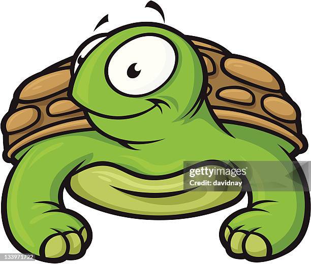 Turtle Shell Toon 171 Turtle Shell Cartoon Stock Photos, High-Res Pictures, and Images ...