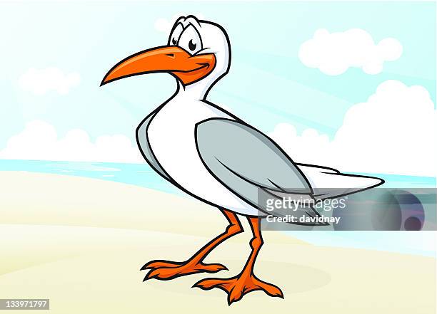 427 Cartoon Seagull Photos and Premium High Res Pictures - Getty Images