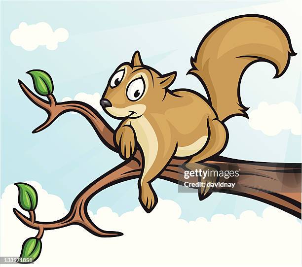 bildbanksillustrationer, clip art samt tecknat material och ikoner med squirrel - animated squirrels