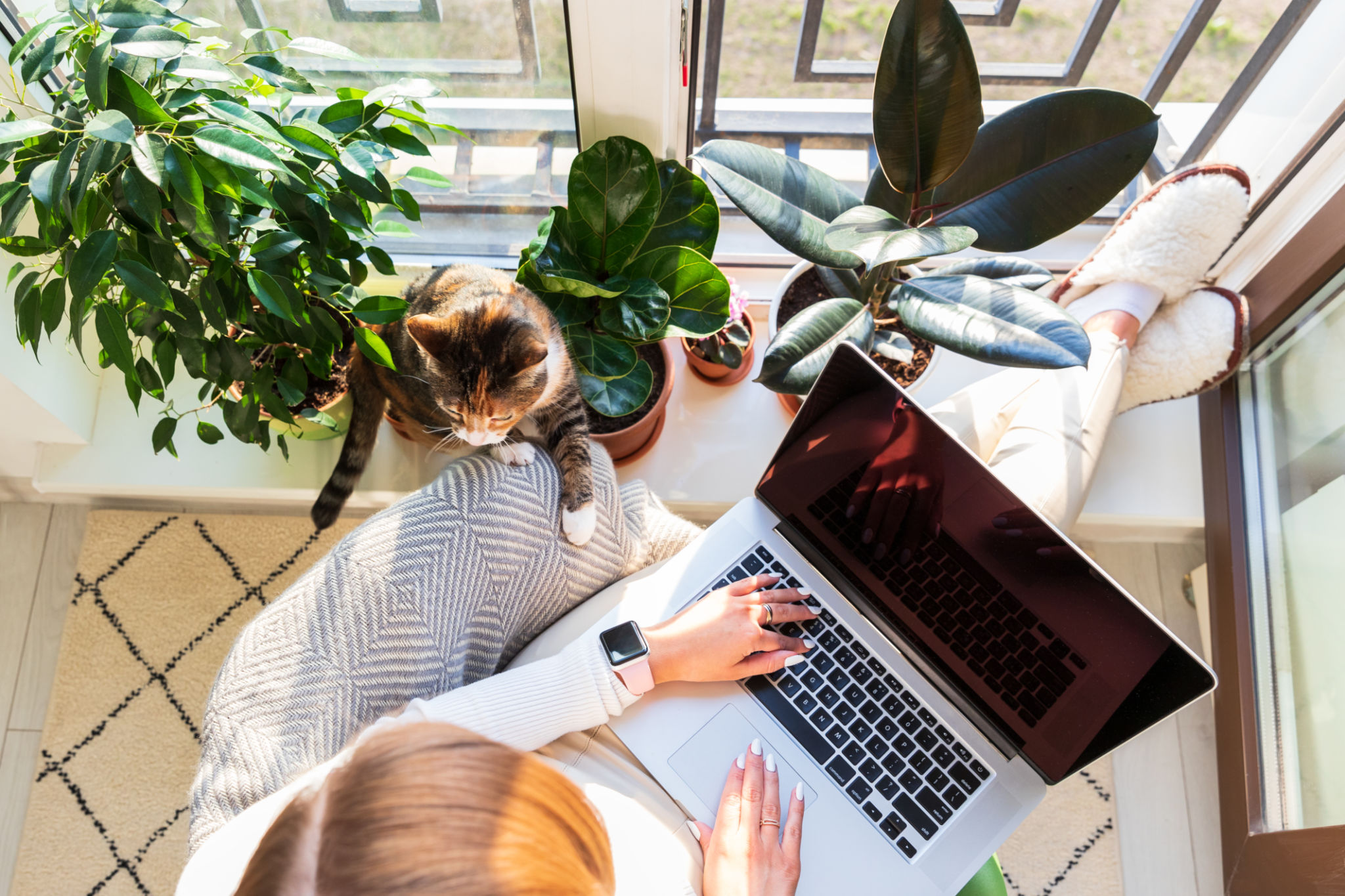 work from home tools