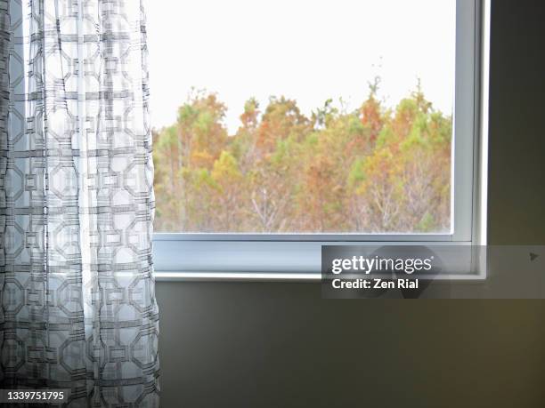window with curtain drawn open and with view of autumn colored trees - marco de ventana fotografías e imágenes de stock
