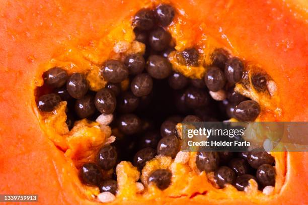 papaya super macro full frame portrait - papaya stock-fotos und bilder