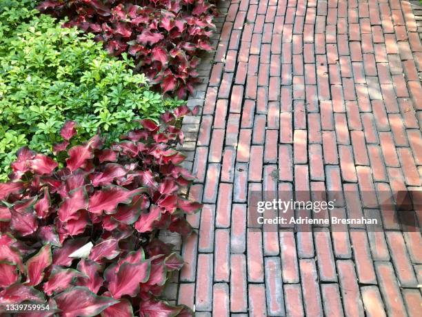 brick path and foliage - red tile stock pictures, royalty-free photos & images