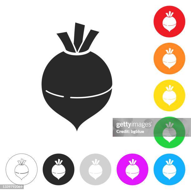 rutabaga. flat icons on buttons in different colors - rutabaga 幅插畫檔、美工圖案、卡通及圖標