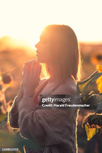 blonde frau im sonnenblumenfeld während des sonnenuntergang im gegenlicht - tattoo frau stock pictures, royalty-free photos & images