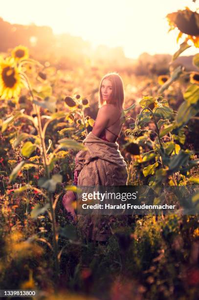 blonde frau im sonnenblumenfeld während des sonnenuntergang im gegenlicht - tattoo frau stock pictures, royalty-free photos & images