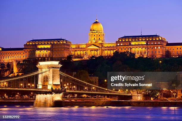 royal palace and chain bridge at dusk - royal palace budapest stockfoto's en -beelden