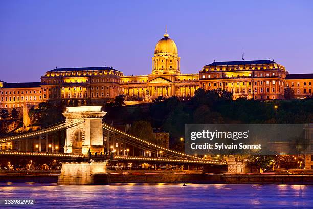 royal palace and chain bridge at dusk - kettingbrug hangbrug stockfoto's en -beelden