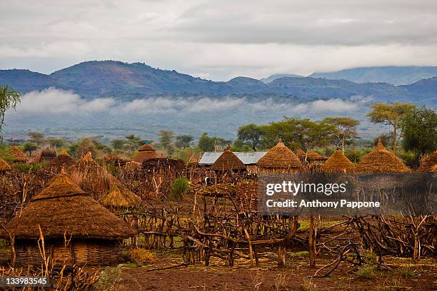 huts in lower omo valley - lower omo valley stock pictures, royalty-free photos & images