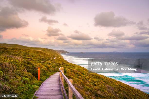 albany boardwalk along seaside - western australia - elevated walkway stock pictures, royalty-free photos & images