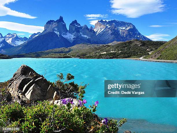 lake pehoé and los cuernos in torres del paine - torres del paine national park imagens e fotografias de stock