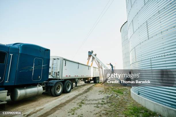 Wide shot of farmer guiding semi truck being filled with corn from silos on farm on summer morning