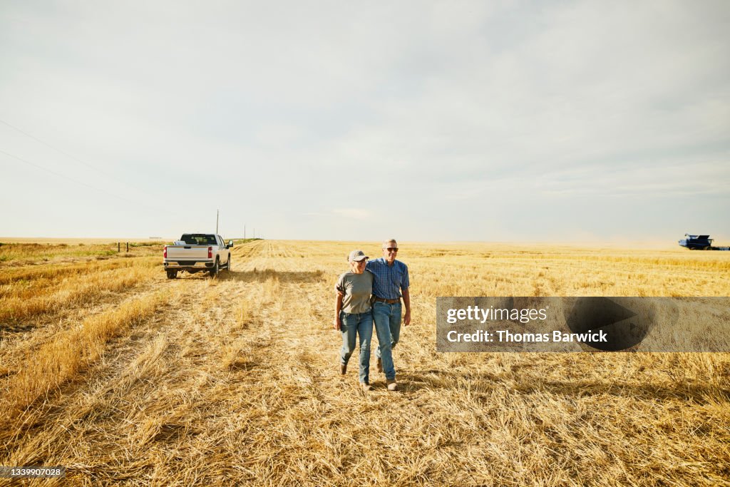 Wide shot of smiling embracing farm couple walking through cut wheat field during summer harvest