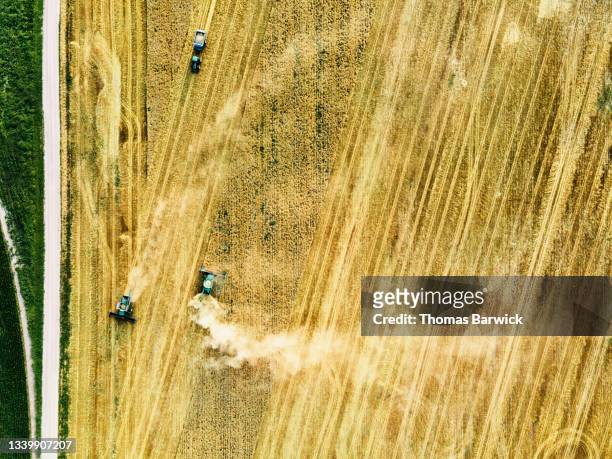 Extreme wide shot overhead aerial view of combines harvesting wheat on summer afternoon