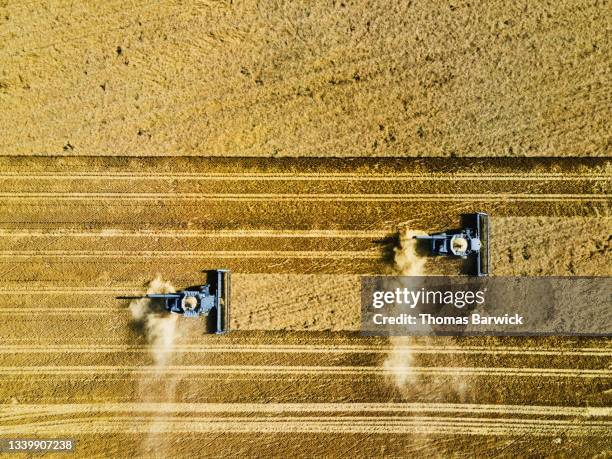 extreme wide shot overhead aerial view of combines harvesting wheat on summer afternoon - koordination stock-fotos und bilder