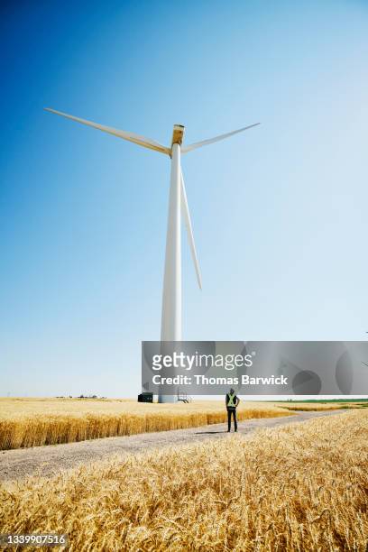 Wide shot of engineer inspecting wind turbines in wheat field on summer afternoon