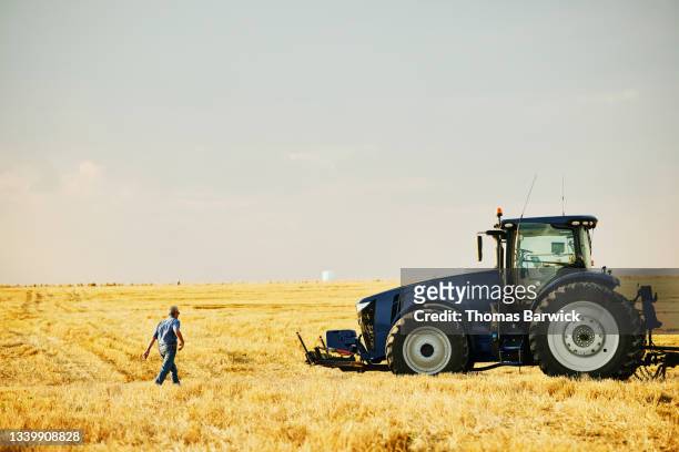 Wide shot of farmer walking through cut wheat field to tractor during summer harvest