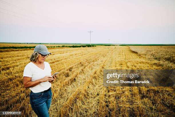 medium wide shot of female farmer using smart phone while standing in freshly cut wheat field on summer evening - rural america stock pictures, royalty-free photos & images
