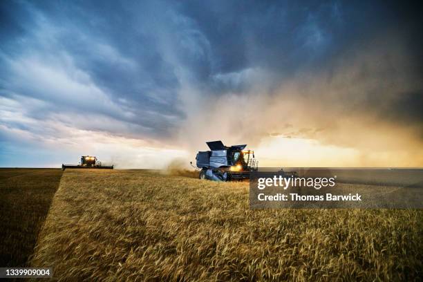 wide shot of combines harvesting wheat with storm clouds in background during harvest on summer evening - farm machinery stock-fotos und bilder